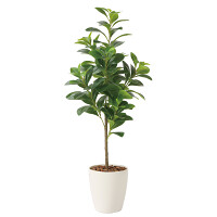 光触媒 人工観葉植物 造花 フレッシュマネーツリー90 (高さ90cm)