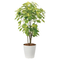 光触媒 人工観葉植物 造花 ペリーラ1.0 (高さ100cm)