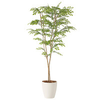 光触媒 人工観葉植物 造花 ライトトネリコ1.0 (高さ100cm)