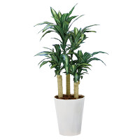 光触媒 人工観葉植物 造花 幸福の木1.3 (高さ130cm)