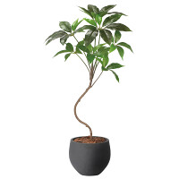 光触媒 人工観葉植物 造花 ナチュラルツピタンサス1.0 (高さ100cm)