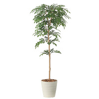 光触媒 人工観葉植物 造花 トネリコ1.3 (高さ130cm)