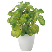 光触媒 人工観葉植物 造花 バウヒニア (高さ40cm)