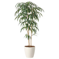 光触媒 人工観葉植物 造花 ショウナンゴム1.6 (高さ160cm)