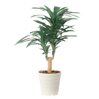 光触媒 人工観葉植物 造花 ドラセナジャネット1.0 (高さ100cm)