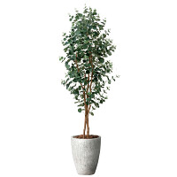 光触媒 人工観葉植物 造花 ナチュラルユーカリ1.8 (高さ180cm)