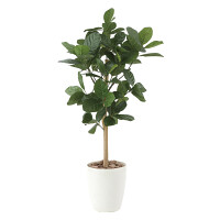 光触媒 人工観葉植物 造花 パンの木90 (高さ90cm)