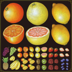 フルーツ(2) 看板・ボード用イラストシール 柑橘系(W285×H285mm)  
