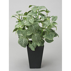 光触媒 人工観葉植物 造花 フィットニア(フロック加工) (高さ43cm
