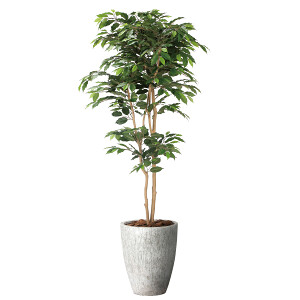 光触媒 人工観葉植物 造花 ナチュラルベンジャミン1.8 (高さ