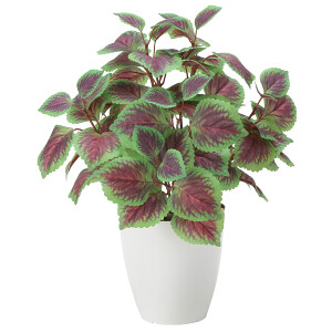 光触媒 人工観葉植物 造花 コリウス (高さ44cm) - 店舗用品通販の