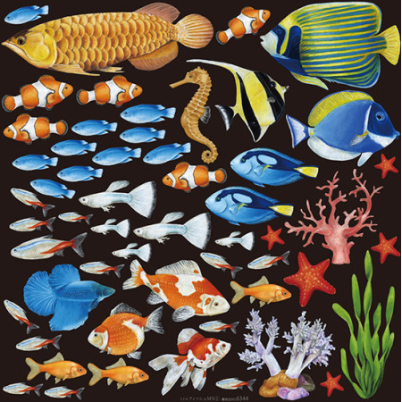 熱帯魚 看板 ボード用イラストシール 販促用品通販のサインモール 熱帯魚 看板 ボード用イラストシール 販促用品通販のサインモール