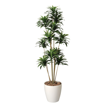 送料無料 ドラセナコンパクタ1 6 ポリ製 屋外用人工観葉植物 高さ160cm 光触媒ではありません 2a300 店舗用品通販のサインモール