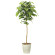 光触媒 人工観葉植物 ケヤキ1.6 (高さ160cm)