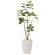 光触媒 人工観葉植物 アーバンブランチウンベラータ1.8 (高さ180cm)