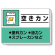 掲示板 空きカン 339-37