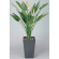 【送料無料】アートストレチア花付1.6 (人工観葉植物) 高さ160cm 光触媒機能付 (115E900)