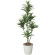 光触媒 人工観葉植物 ドラセナコンパクタ 1.25 (高さ125cm)