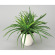 光触媒 人工観葉植物 ドラセナ (高さ32cm)