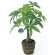 光触媒 人工観葉植物 造花 パキラポットM (高さ41cm)