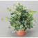 光触媒 人工観葉植物 ホーランドアイビーS (高さ25cm)