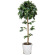 光触媒 人工観葉植物 ベンジャミントピアリー 1.2 (高さ120cm)