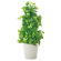 光触媒 人工観葉植物 ポールライムポトス (高さ82cm)