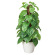 光触媒 人工観葉植物 フレッシュポールポトス (高さ48cm)