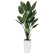 光触媒 人工観葉植物 ストレチアW1.6 (高さ160cm)