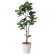 光触媒 人工観葉植物 カシワバゴム1.8 (高さ180cm)