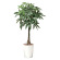 【送料無料】パキラ1.25 (人工観葉植物) 高さ125cm 光触媒機能付 (510E280)