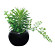 光触媒 人工観葉植物 ミックスインポット(ポリ製) (高さ15cm)