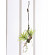 光触媒 人工観葉植物 エアープランツW(ポリ製) (高さ54cm)