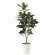 光触媒 人工観葉植物 ゴムの木1.25 (高さ125cm)