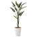 光触媒 人工観葉植物 ストレチア1.6 (高さ160cm)