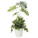 【送料無料】スプリット 植栽付 (人工観葉植物) 高さ90cm 光触媒 (871A170)