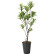 光触媒 人工観葉植物 フレッシュドラセナ1.8 (高さ180cm)