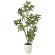 光触媒 人工観葉植物 造花 シェフレラ1.15 (高さ115cm)