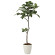 光触媒 人工観葉植物 ベンガル菩提樹1.35 (高さ135cm)