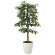 光触媒 人工観葉植物 アルデシア(万両)90 (高さ90cm)