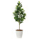 光触媒 人工観葉植物 造花 フレッシュマネーツリー1.15 (高さ115cm)