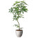 光触媒 人工観葉植物 造花 ナチュラルパキラ1.6 (高さ160cm)