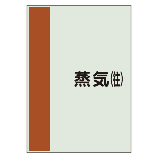 配管識別シート 蒸気(往) 小(500×250) (409-62)