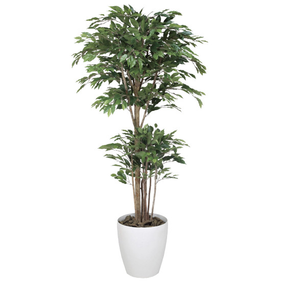【送料無料】トロピカルベンジャミン 1.8 (人工観葉植物) 高さ180cm 光触媒機能付 (162F570)