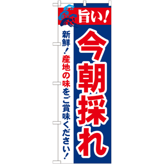 のぼり旗 旨い!今朝採れ (21689)