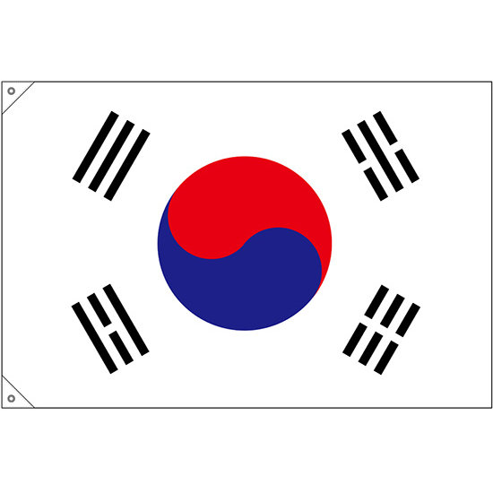 販促用国旗 韓国 サイズ:小 (23692)