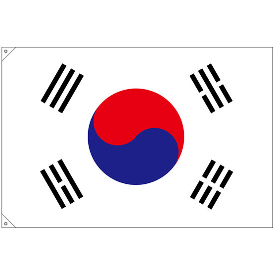 販促用国旗 韓国 サイズ:大 (23693)