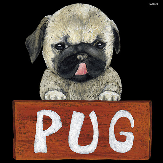 デコシール 犬 パグ サイズ:ビッグ W600×H600 (61922)