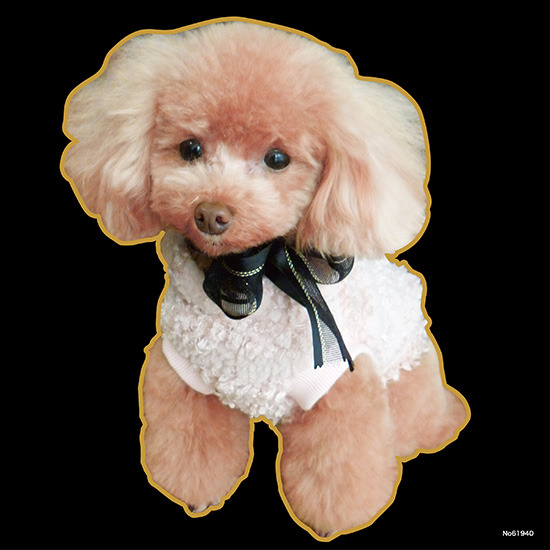 デコシール 犬 プードル (写真2) サイズ:ミニ W100×H100 (62078)