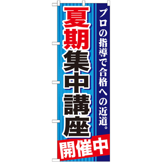 のぼり旗 夏期集中講座 開催中 (GNB-1593)